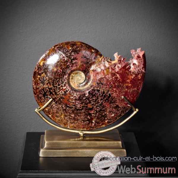 Ammonite avec bouche decoupee pm Objet de Curiosite -PUFO265-1