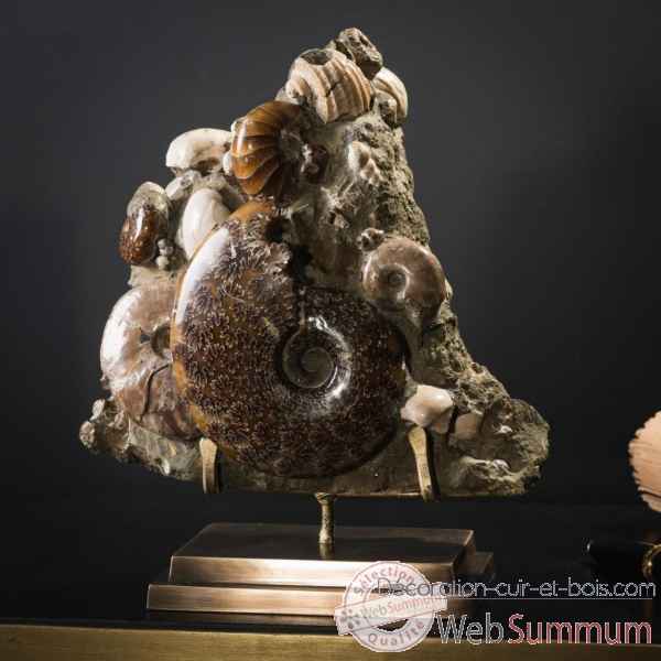 Bloc d\'ammonites de l\'albien - 3-4kg Objet de Curiosite -PUFO305-2