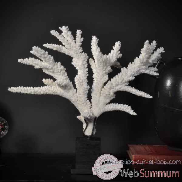 Corail branche blanche tgm Objet de Curiosite -CO263-2