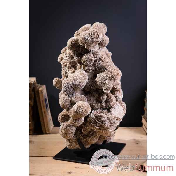 Rose des sables du mexique gm Objet de Curiosite -PUMI554