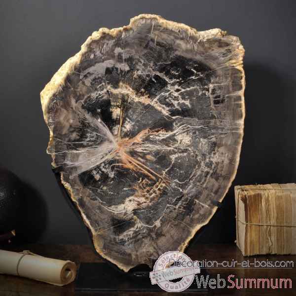 Tranche de bois fossile 50kg - bresil Objet de Curiosite -PUFO268