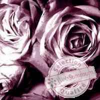 Cadre rosa viola en aluminium effet humide 800 x 800 arteinmotion QUA-ALL0072
