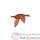 Lasterne - Les oiseaux en vol - Vol du colvert - 40 cm - BCO045-1