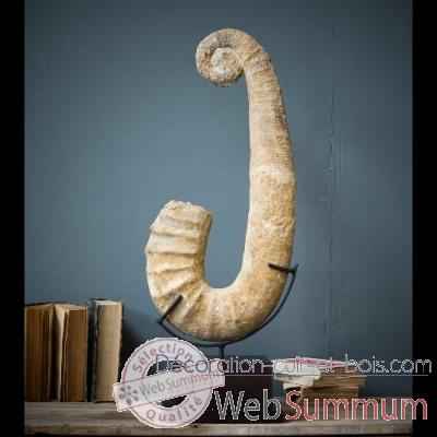 Ammonite deroulee Objet de Curiosite -PUFO033-1