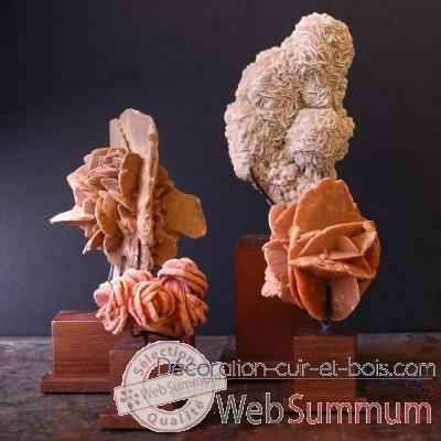 Collection de roses des sables Objet de Curiosite -MI025