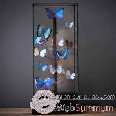 Globe papillons bleus Objet de Curiosite -IN039