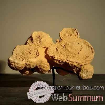 Stromatolithe Objet de Curiosite -FO019