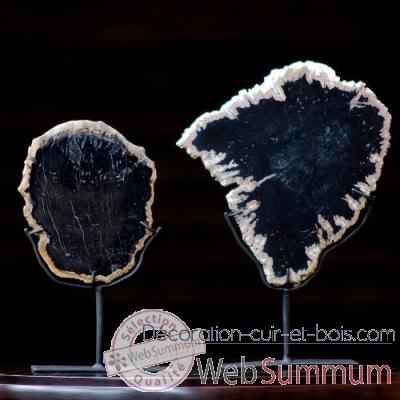 Tranche d'ebene fossile Objet de Curiosite -FO012
