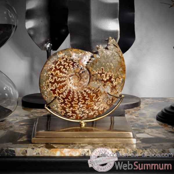 Ammonite avec bouche decoupee gm Objet de Curiosite -PUFO264-2