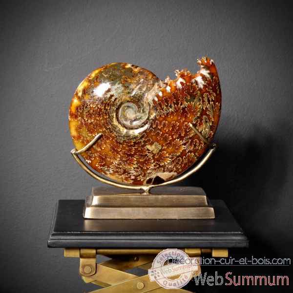 Ammonite avec bouche decoupee pm Objet de Curiosite -PUFO265-2