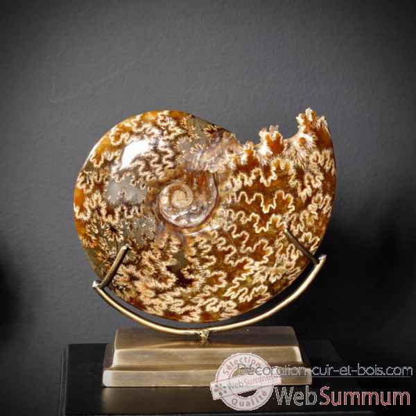 Ammonite avec bouche decoupee pm Objet de Curiosite -PUFO265-4