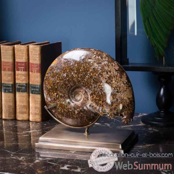 Ammonite avec bouche decoupee tgm Objet de Curiosite -PUFO271-1