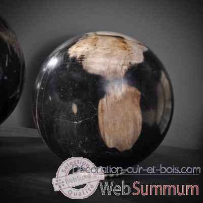Boule de bois fossile mm (java) Objet de Curiosite -MI062