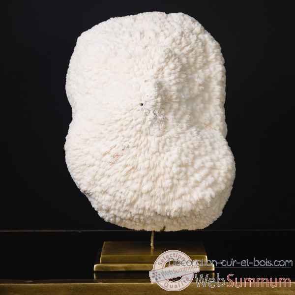 Corail blanc bowl gm Objet de Curiosite -CO351-5