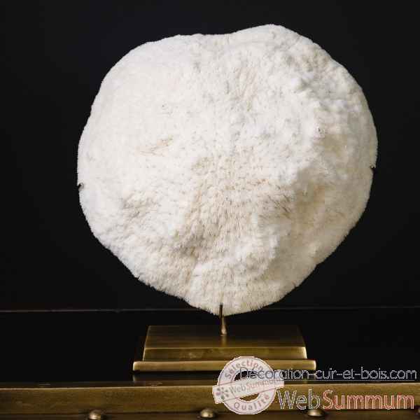 Corail blanc bowl gm Objet de Curiosite -CO351-6