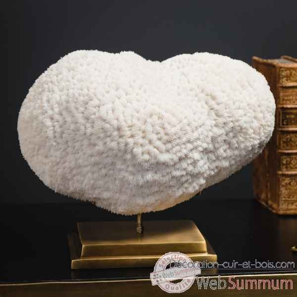 Corail blanc bowl (mm) Objet de Curiosite -CO350-10