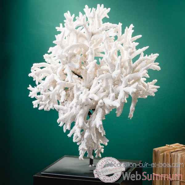 Corail blanc en branche acropora florida Objet de Curiosite -CO403
