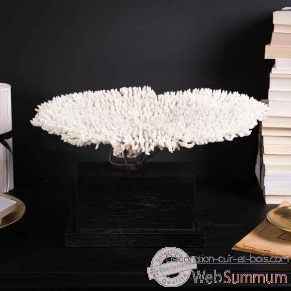 Corail blanc en couronne gm Objet de Curiosite -CO203BIS-3