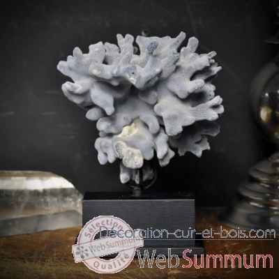 Corail bleu pm sur mini socle recgt Objet de Curiosite -CO226-X