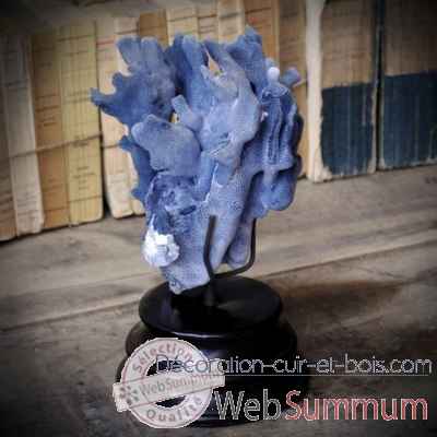 Corail bleu sur socle bois rond Objet de Curiosite -CO231-X