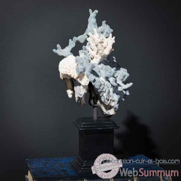 Corail bleu sur socle empire Objet de Curiosite -CO326-2