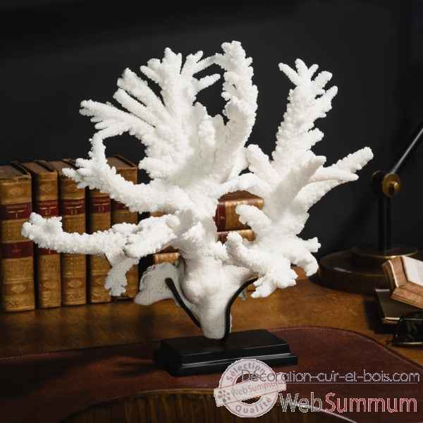 Corail branche blanche (acropora florida) Objet de Curiosite -CO390-1