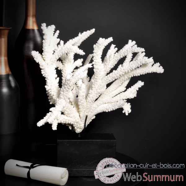 Corail branche blanche tgm Objet de Curiosite -CO262-12