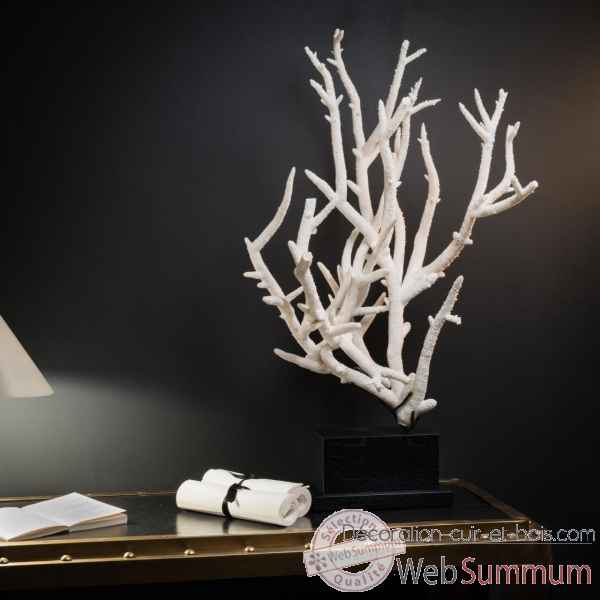 Corail branche blanche tgm Objet de Curiosite -CO262-15