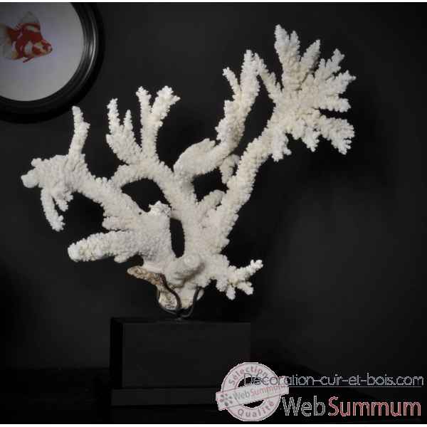 Corail branche blanche tgm Objet de Curiosite -CO262-3