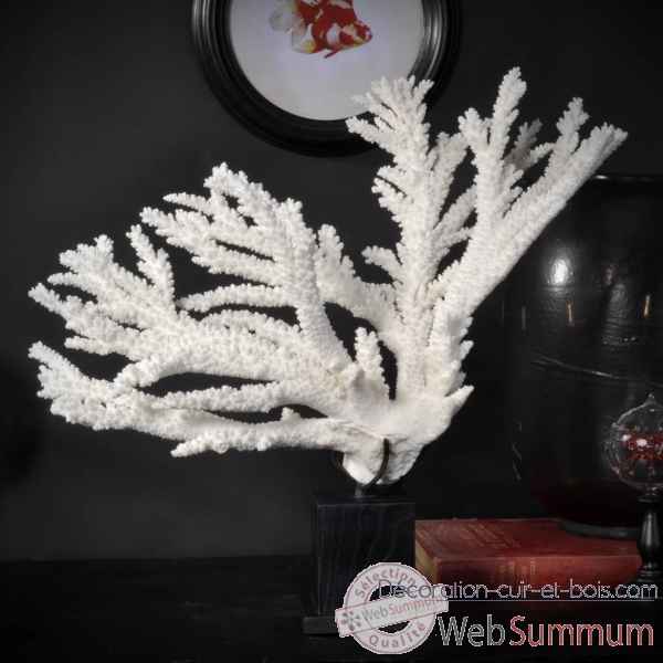 Corail branche blanche tgm Objet de Curiosite -CO263-4