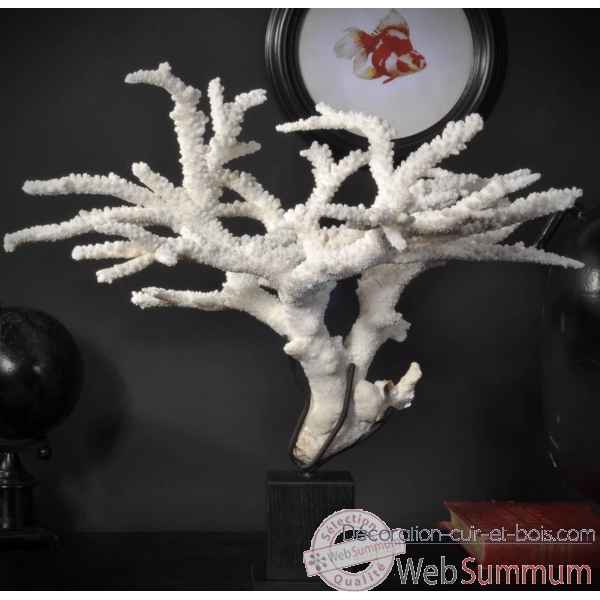 Corail branche blanche tgm Objet de Curiosite -CO263-5