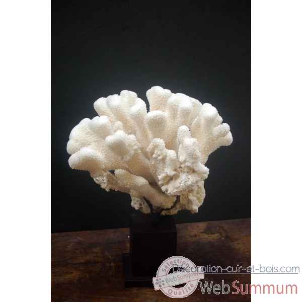 Corail corne de daim blanc sur socle 6 Objet de Curiosite -CO169-24