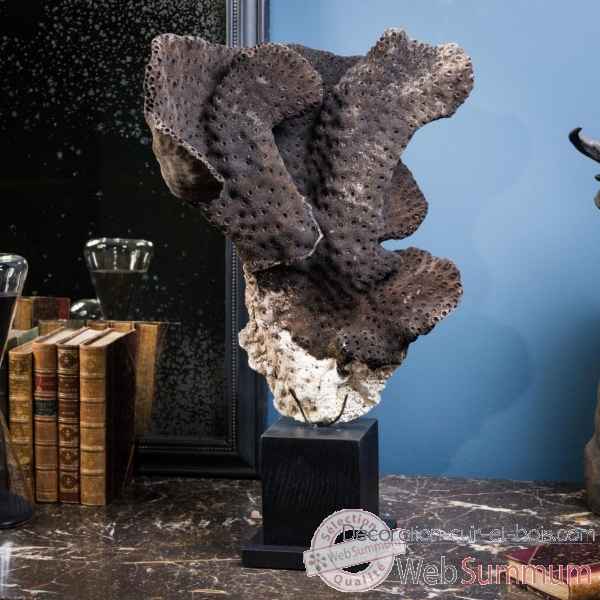 Corail cup noir gm (env.30cm) Objet de Curiosite -CO308-3