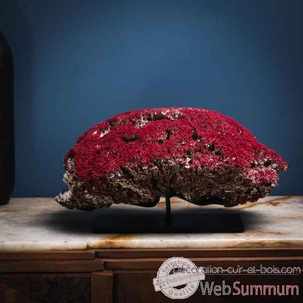 Corail rouge tubipora musica env 40cm Objet de Curiosite -CO295-4