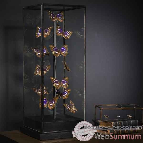 Globe de 12 papillons violets Objet de Curiosite -IN093