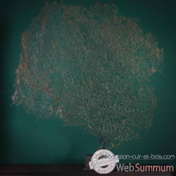 Gorgone noire h.140cm env. Objet de Curiosite -PU557-4