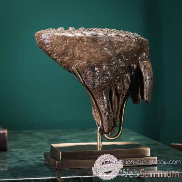Molaire de mammouth 1.4kg - socle laiton Objet de Curiosite -PUFO292
