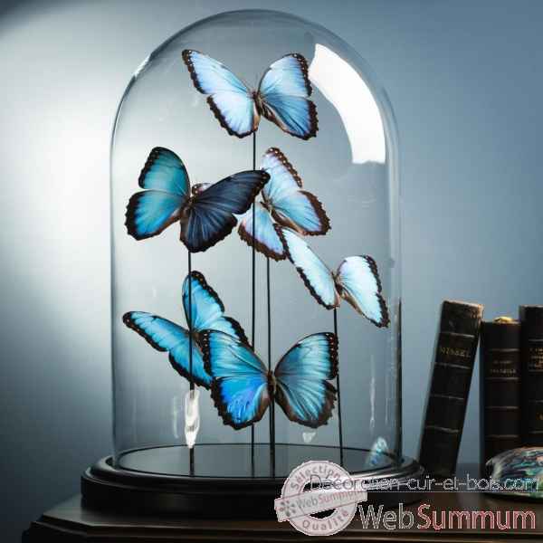 Papillons bleus morpho (6) Objet de Curiosite -IN101