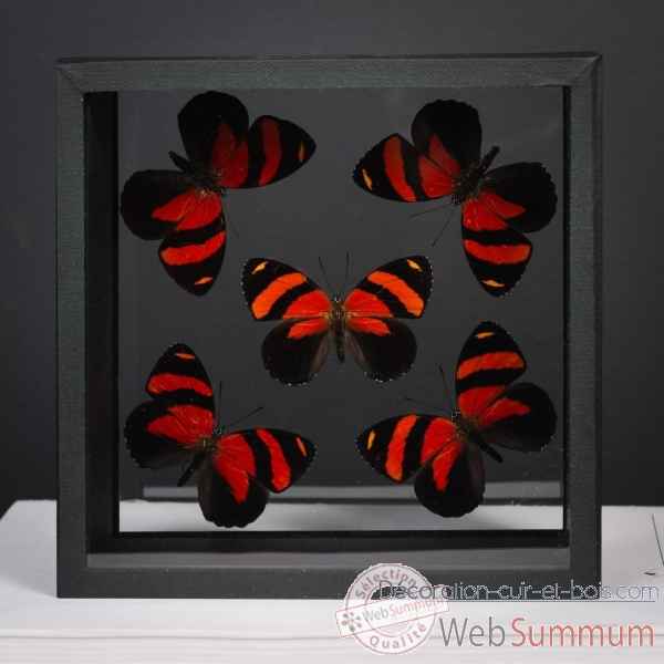 5 papillons rouges Objet de Curiosite -IN111