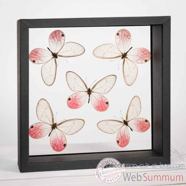 5 papillons transparents roses Objet de Curiosite -IN110