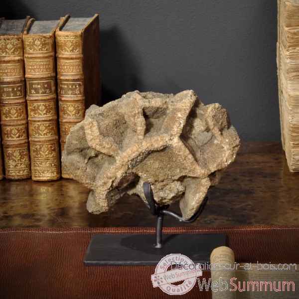 Septaria erode env2.5kg Objet de Curiosite -PUMI357-4
