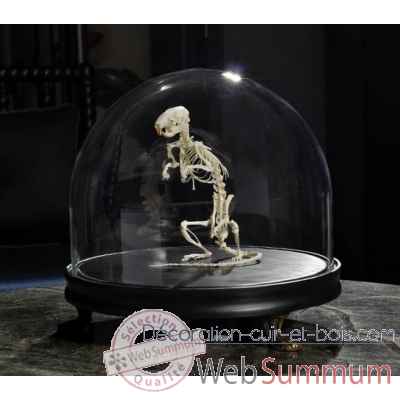 Squelette de rat debout sous globe Objet de Curiosite -AN169