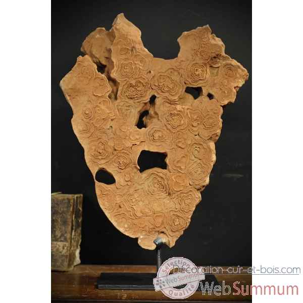Stromatolite plaque multiple (moyenne) Objet de Curiosite -PUFO125-1