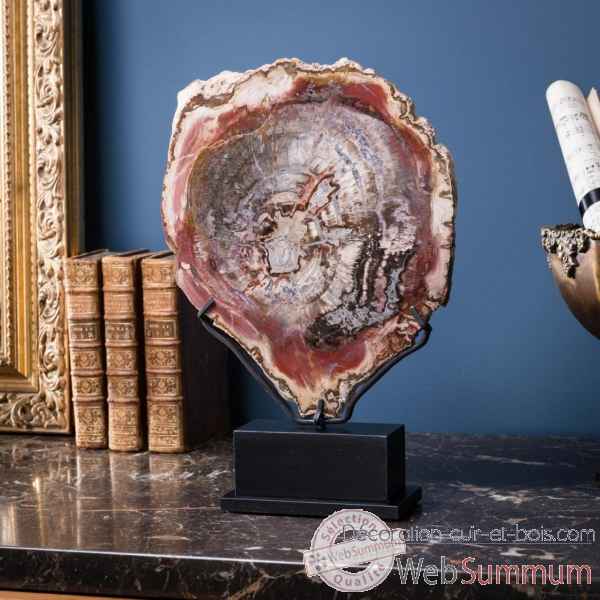 Tranche de bois fossile rouge Objet de Curiosite -PUFO169-9