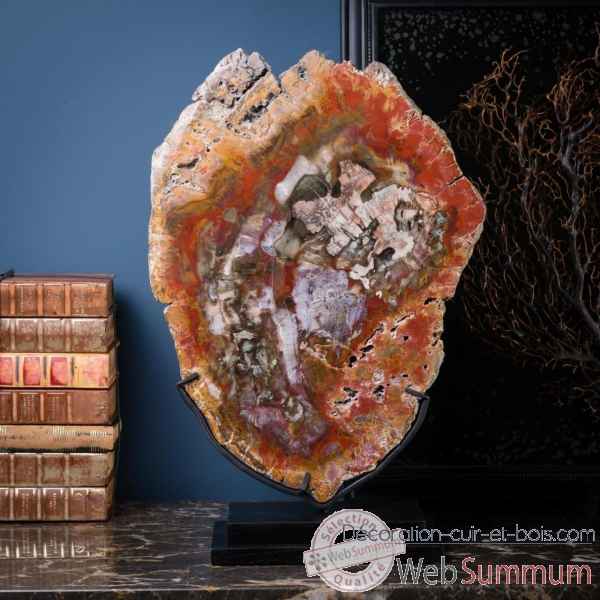Tranche de bois fossile rouge Objet de Curiosite -PUFO275-2