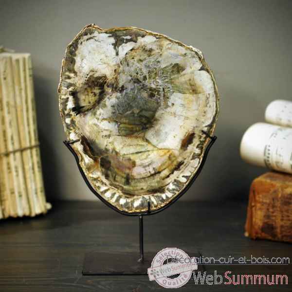 Tranche de bois fossile vert (type huitre) Objet de Curiosite -PUFO171